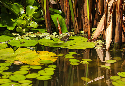 Restaurant interior showcase 1